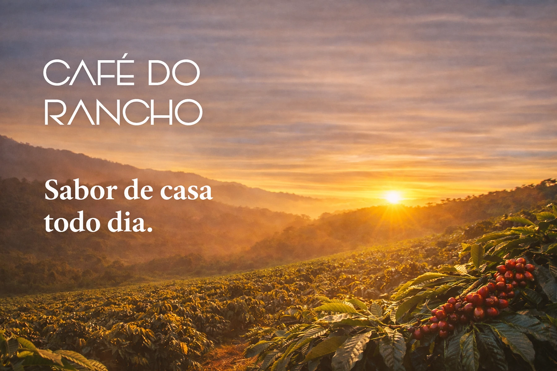 Originação de café em Rondônia